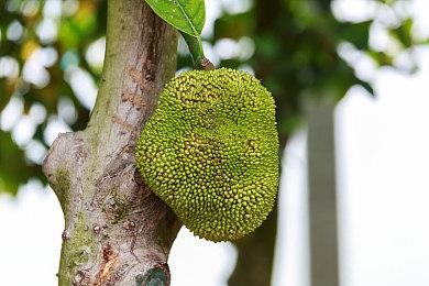 《命运2：终焉之形》6月5日上线，Bungie提前发布全新视频记录